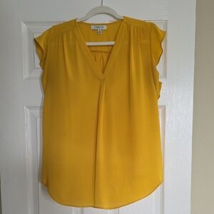 Chaus Golden V-Neck Blouse